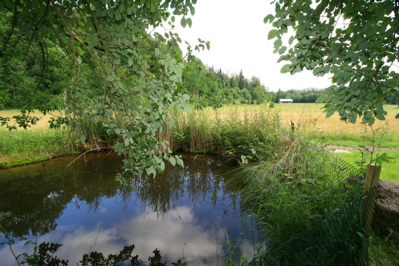 Landgasthof Auerschmiede Irschenberg Buitenkant foto